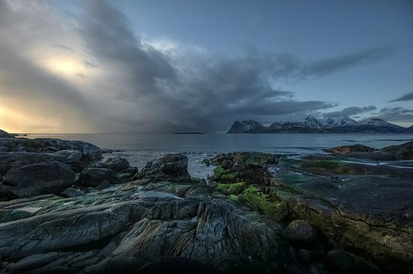 Où apprendre à jouer du didgeridoo en Australie?