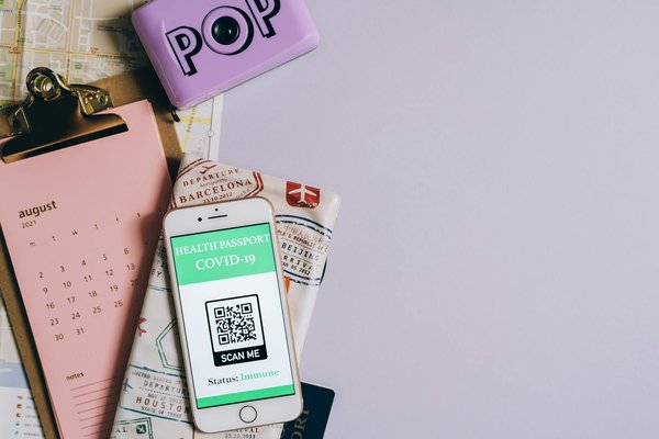 Comment organiser une visite des champs de tulipes aux Pays-Bas sans guide?